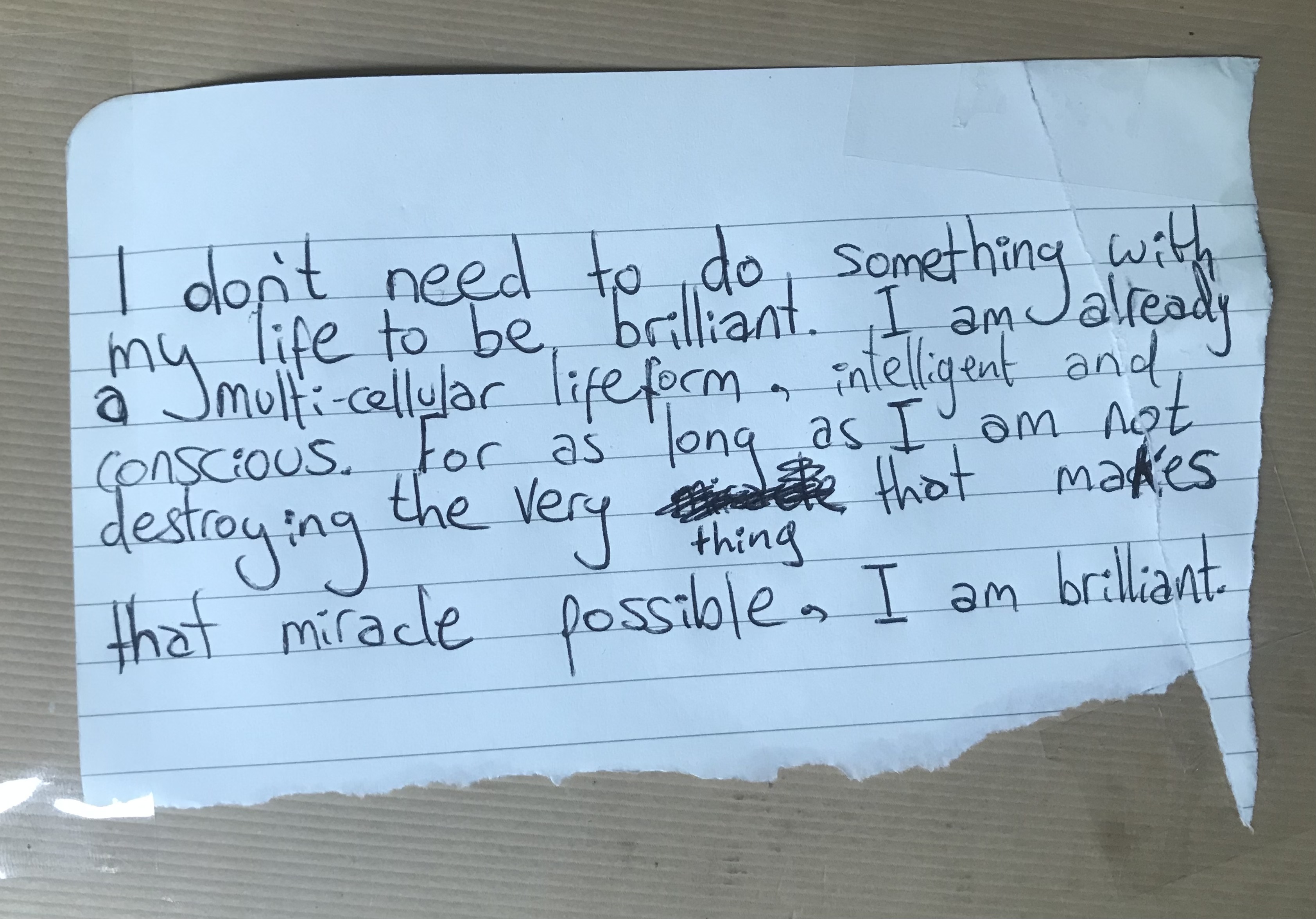 I don't need to do something with my life to be brilliant. I am
        already a multicellular lifeform, intelligent and conscious. For as
        long as I am not destroying the very thing that makes that miracle
        possible, I am brilliant.